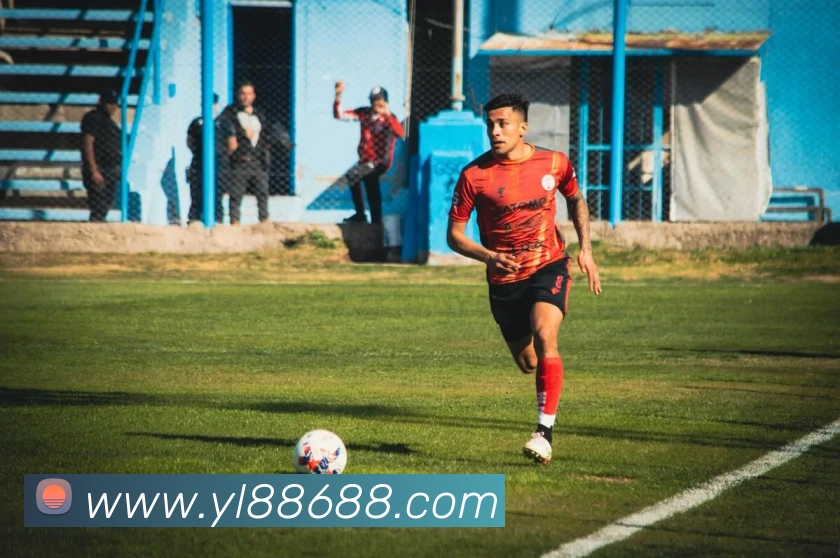 多彩内容专区